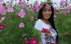 青青草原中文字幕MV